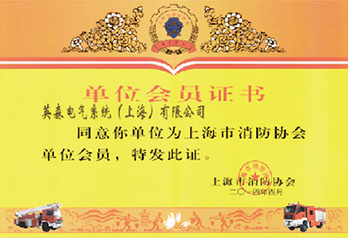 在线观看黄网视频免费播放
